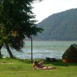 Camping area Toma, Golubac, Serbia - Kamping odmorište Toma, Golubac, selo Brnjica