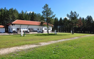 New Campsite in Serbia – Zlatibor