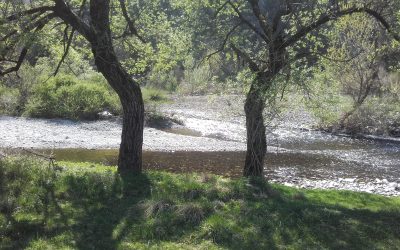 Život na reci u kampu River